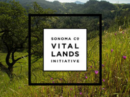 Vital Lands Initiative charts next 15 years of open space in Sonoma County