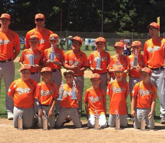 Cal Ripken 9-year-old baseball all-stars bring home hardware