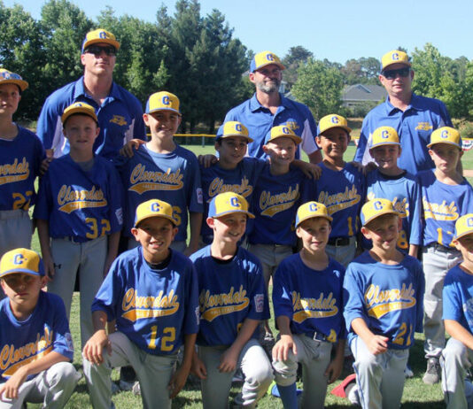 Cloverdale Little League 8-10 all stars compete in District 35 tournament