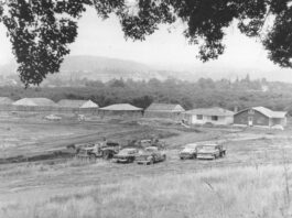 Flashbacks: A look back on local history