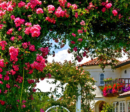 An experience for the senses