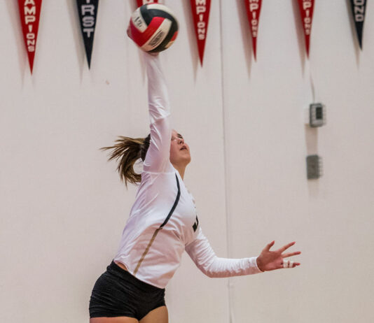 Windsor volleyballers gain split in NBL court battles