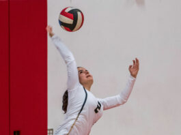 WHS volleyballers hanging tough on league hard-court