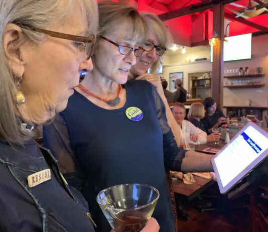 Gold and Mitchell gain voter favor in city council race