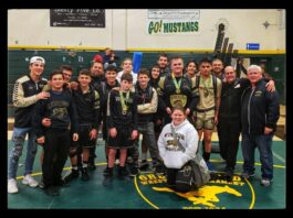 Windsor wrestlers shine at Green & Gold tourney