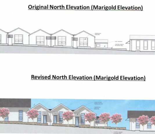 Planning commission approves two redesigns