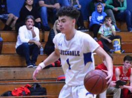 Eagles’ basketballers peaking at right time