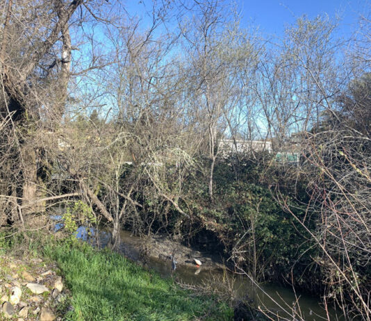 Body found at Foss Creek