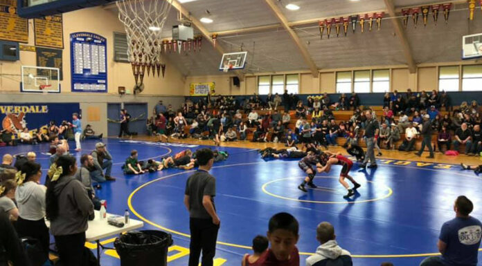 Analy coach starts Youth Wrestling Club