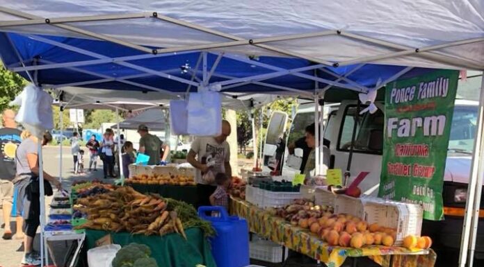 Market Refresher: Market Opening Day is here