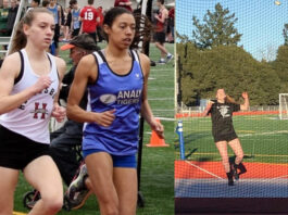 Lions, Tigers log fast times at Big Cat