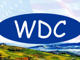 Windsor Democratic Club: Building On 2018, Larry Martin