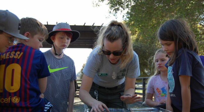Junior Rangers discover county’s great outdoors