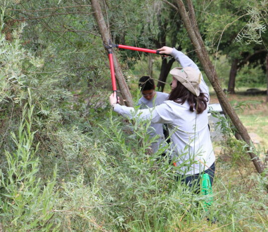 Outdoor summer jobs with Sonoma County Youth Ecology Corps open for 16- to 24-year-olds