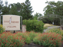 Cell tower project at Healdsburg church passes BZA