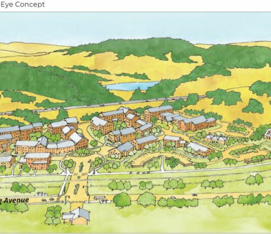 Council passes NEAP 4-1