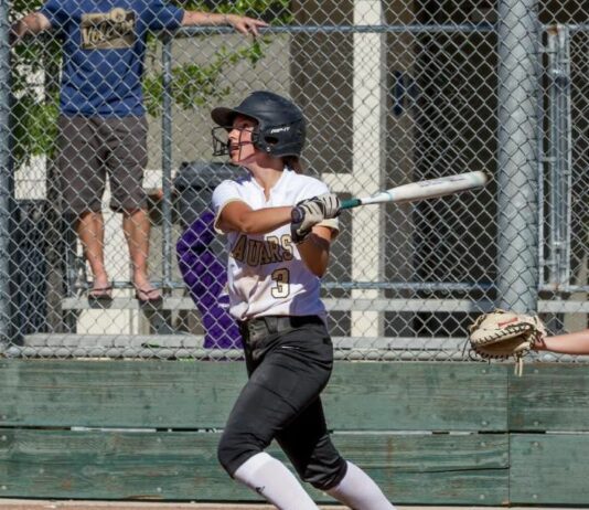 Windsor softballers finish second in NBL title chase