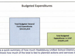 School board reviews district and LCAP budgets