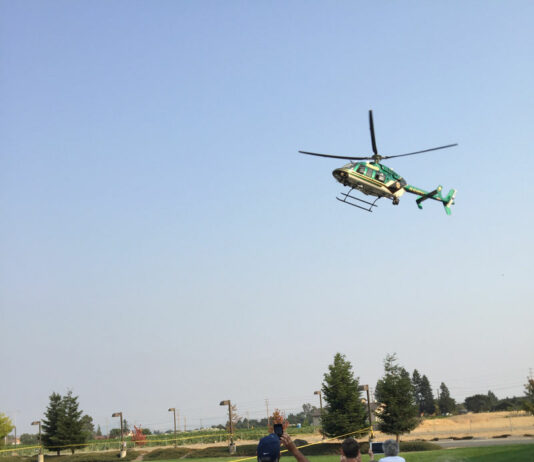 Examining the cost of Henry 1