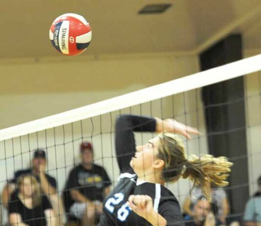 Analy eyes spot in upper Oak Division