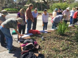 On your marks, get set, sketch