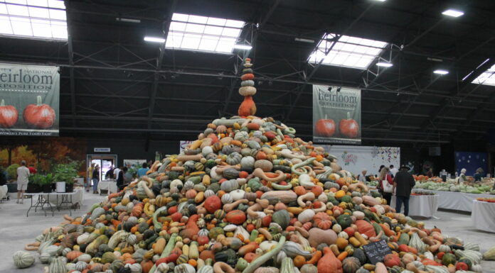 Heirloom Expo returns for another year of pure food and education