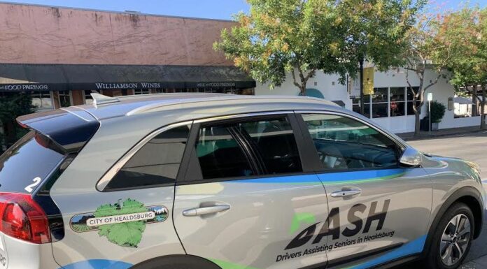 Helping seniors DASH around