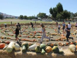 Pure food, pure fun at the Heirloom Expo