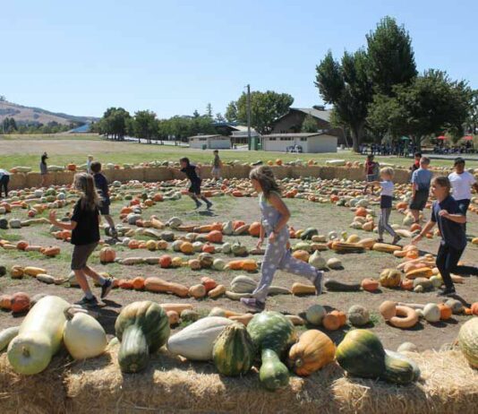 Pure food, pure fun at the Heirloom Expo