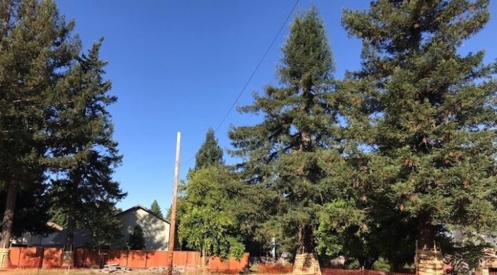 Work is underway on Kennedy Lane cottage courts