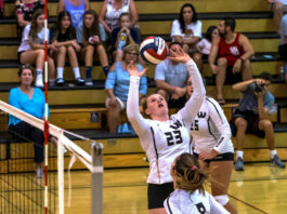 WHS volleyballers turn back Healdsburg in three sets