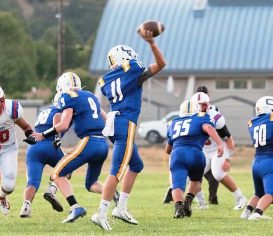 Eagles falter in 28-7 loss to St. Vincent