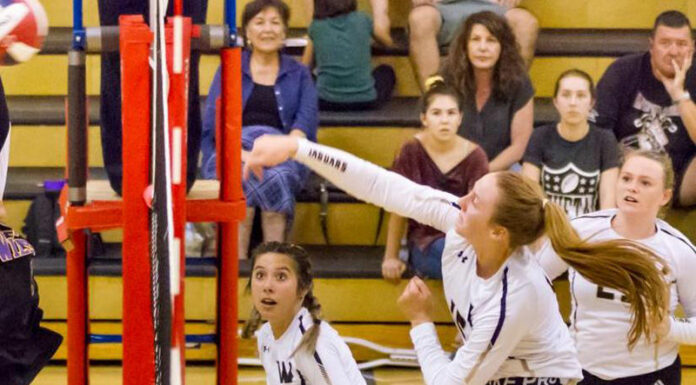 WHS volleyballers taken down by Carrillo on NBL hard-court