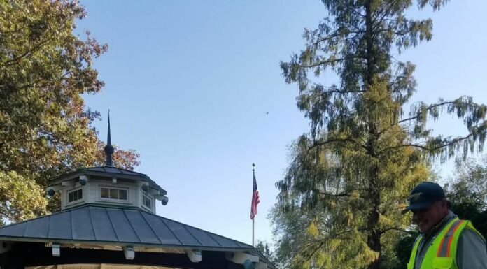 Healdsburg police chief provides update, re-population considerations, keeping city safe