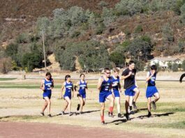Running Eagles turn up the heat on cross country trail