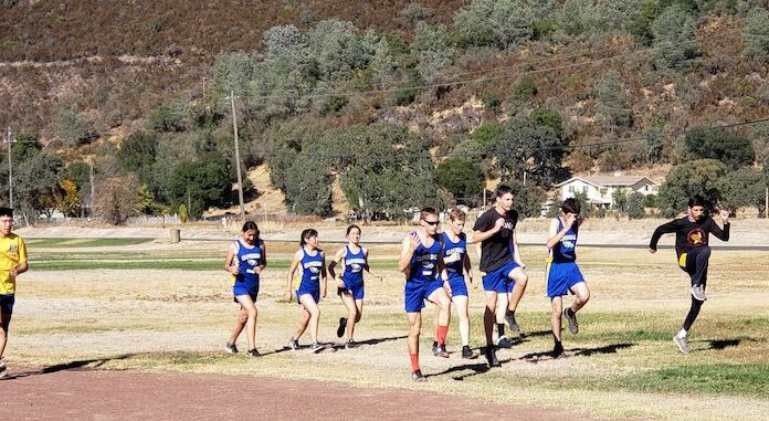 Running Eagles turn up the heat on cross country trail