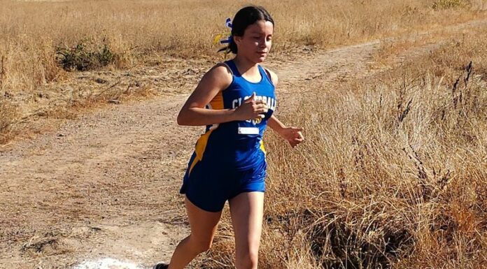 Running Eagles chase down Saints in cross country meet
