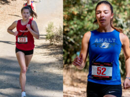 Cross country Lions and Tigers rounding into peak form