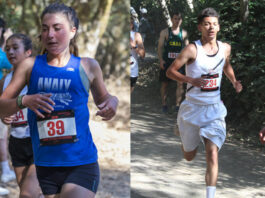 Running Lions, Tigers blister trails in league cross country openers