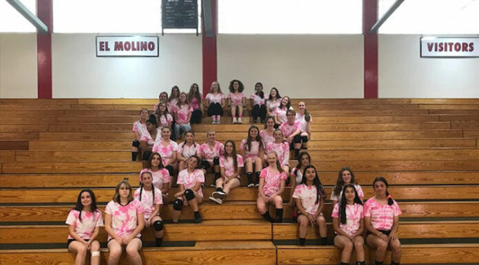 Lions, Tigers volleyballers at halfway point in NBL season