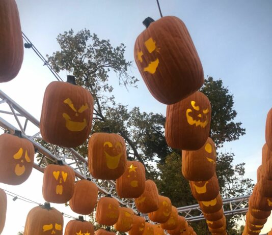 Pumpkin Odyssey