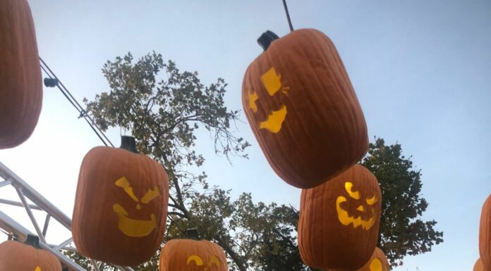 Pumpkin Odyssey