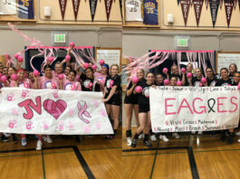 Eagles gain split on league volleyball circuit