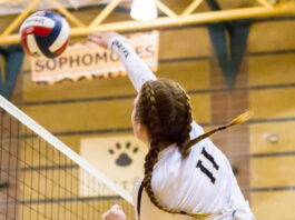 WHS volleyballers forced to forfeit NCS playoffs