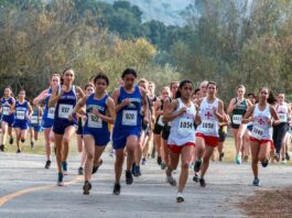 Eagles compete at CMC Cross Country Championships