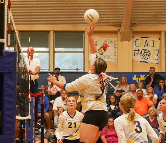 Volleyball falls in North Coast Section quarterfinals