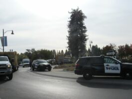 Police chase ends at roundabout