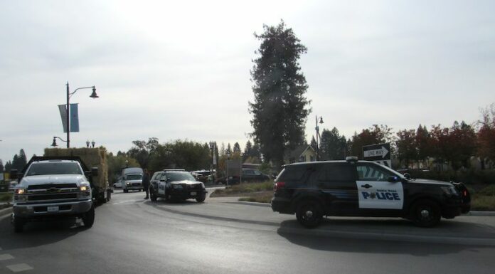 Police chase ends at roundabout