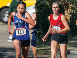Running Lions, Tigers gearing up for North Coast Section Cross Country Championships