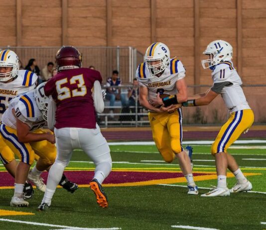 2019, a year to remember in local sports (part 2)